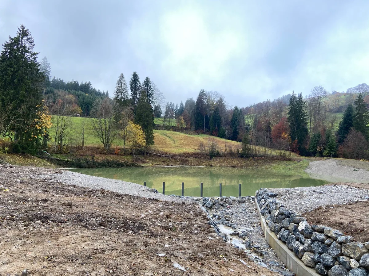 Der sanierte Weiher mit Zufluss.